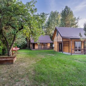 Zagajnik Białowieża