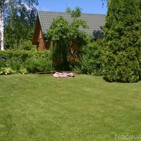 Okuninka - domek 320