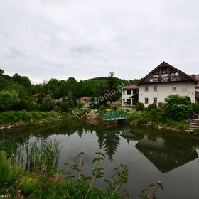 Agroturystyka Muflonik