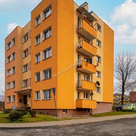 Apartament Misio