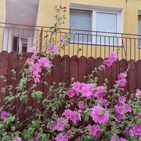 Pokoje Gościnne U Eli