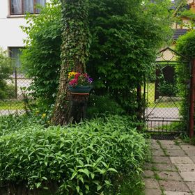 Pokoje Gościnne u Piotra