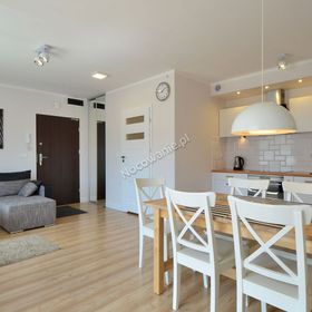 Apartament Zebra