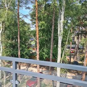 Apartament w Sosnowym Lesie