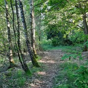 Domki nad Kukówkiem