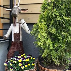 Apartamenty Chabrów 4