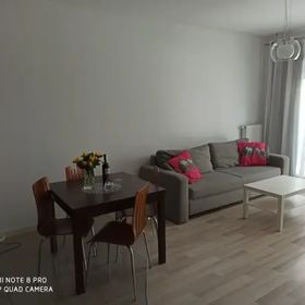 Apartament Platan