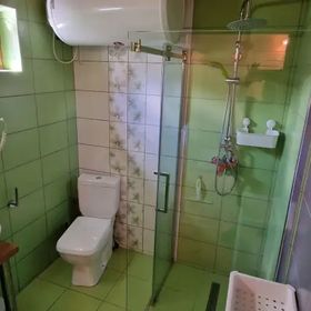 Uśmiechnięty Kaktus