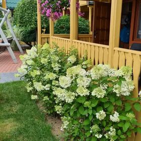 Ewa Domki Letniskowe