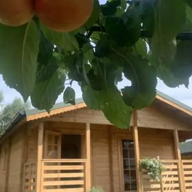 Pod Dziką Jabłonią