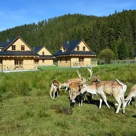 Domki Wypoczynkowe Romanówka