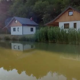 Domki wypoczynkowe Oaza w Bieszczadach z łowiskiem 