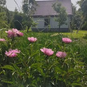 Jaśkowy Domek na Mazurach