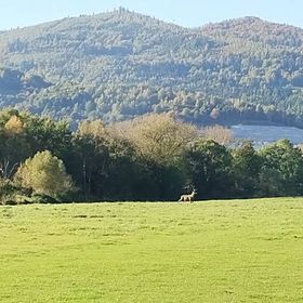 Dom Wypoczynkowy Leśniczówka 18 Węgierska Górka