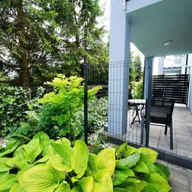 Apartamenty Szafir