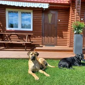 Domki wczasowe HOLIDAY