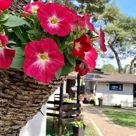 Domki Promyk Mrzeżyno