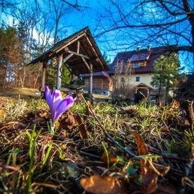 Przerwa - Pokoje Gościnne