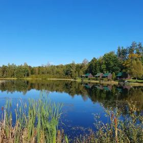 Domki nad stawem 