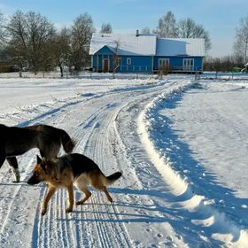 Wiejskie podwórze Ekologiczne gospodarstwo agroturystyczne