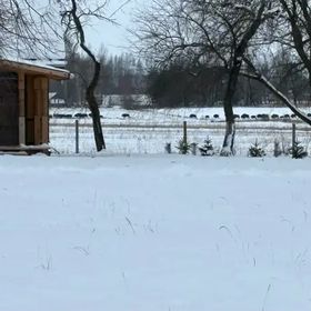 Wiejskie podwórze Ekologiczne gospodarstwo agroturystyczne