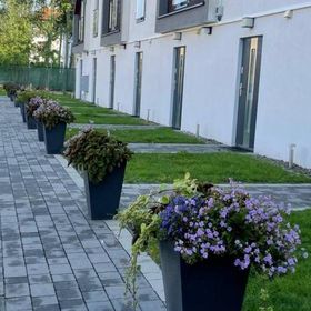 Domki apartamentowe Laba