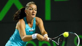 WTA Stanford: Radwańska zagra z Scheepers w I rundzie