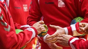 Redakcja SportoweFakty.pl typuje wyniki MŚ 2013! Polska czarnym koniem?