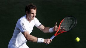 ATP Walencja: Andy Murray pokonał Davida Ferrera, 500. wygrana Tommy'ego Robredo