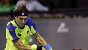 ATP Auckland: Ferrer odniósł 550. zwycięstwo, Isner - Kohlschreiber w ćwierćfinale