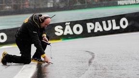 Nico Rosberg minimalnie szybszy od Lewisa Hamiltona na Interlagos!