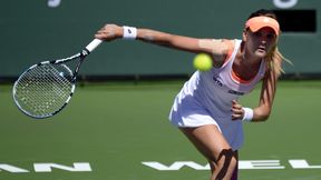 WTA Katowice: Agnieszka Radwańska - Kristyna Pliskova 6:3 6:2 (foto)