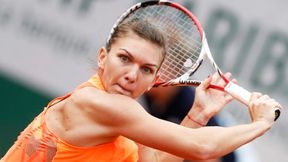 WTA Bukareszt: Halep i Niculescu zmierzą się o finał, Vinci w półfinale