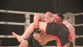 UFC Fight Night 45: Aż osiem nokautów na jednej gali