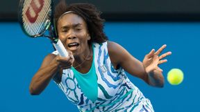 WTA Dubaj: Trwa zwycięska seria Venus Williams, występ Simony Halep zagrożony