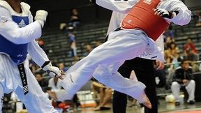 Rio 2016: Polak bez medalu, Abughaush ze złotem olimpijskim w taekwondo