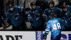 NHL: Kolejne gładkie zwycięstwo San Jose. Hertl bohaterem "Rekinów"