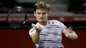 ATP Antwerpia: David Goffin najwyżej rozstawiony w pierwszej edycji turnieju