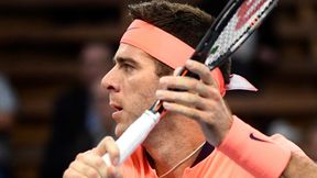 ATP Delray Beach: Juan Martin del Potro i Milos Raonić w półfinale