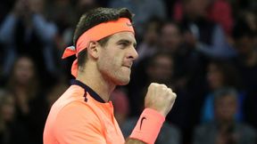 ATP przyznało nagrody za sezon 2016. Del Potro, Federer, Pouille i Fritz wśród wyróżnionych