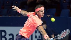 ATP Delray Beach: Juan Martin del Potro i Milos Raonić zwycięscy w I rundzie. Pechowa porażka Tommy'ego Haasa