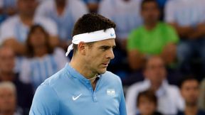 Nie tylko Federer i Kyrgios. Juan Martin del Potro też potrafi zagrać "tweenera" (wideo)