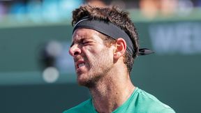 ATP Lyon: Juan Martin del Potro przegrał z kwalifikantem, Milos Raonić i Jo-Wilfried Tsonga w ćwierćfinale