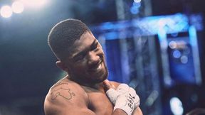 Boks. Oficjalnie: Anthony Joshua - Kubrat Pulew 12 grudnia w Londynie