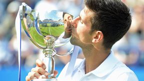 ATP Eastbourne: egzamin zdany celująco. Novak Djoković z tytułem i pokładami pewności siebie przed Wimbledonem