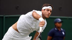 Wimbledon: Juan Martin del Potro wygrał mecz tenisistów po przejściach, David Ferrer lepszy od Richarda Gasqueta