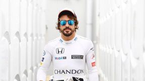 Wkrótce poznamy decyzję Fernando Alonso. "Mam kilka ofert"