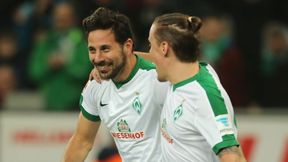 Bundesliga. Claudio Pizarro może wrócić do Bayernu. W nowej roli