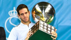 ATP Sztokholm: Juan Martin del Potro obronił mistrzostwo. 20. triumf Argentyńczyka