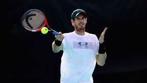 ATP Brisbane: Grigor Dimitrow najwyżej rozstawiony. Andy Murray znalazł się w turniejowej drabince